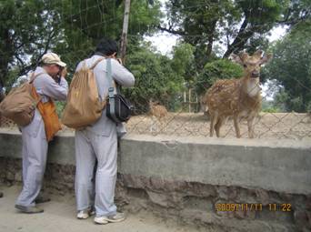 Y:\20 Ӥ-2009-11-03 india\DD׾\30 b_981111\IMG_2880.JPG