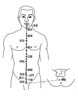 任脉分布图图片